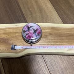 鳥のピルケース　薬入れ　アクセサリー入れ　小物入れのサムネイル