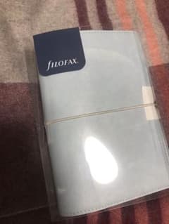 【aoisoraさん専用】fILOFAX ドミノ2020 日本未発売のサムネイル