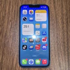 Apple iPhone 13 128GB 블루 본체