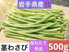 茎わさび　500g (ネコポス)のサムネイル