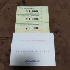 ビックカメラ　株主優待券　3000円分　2025/5/31までのサムネイル