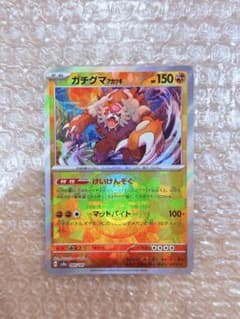 ガチグマ マスボミラーのサムネイル