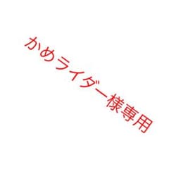 かめライダー様専用のサムネイル