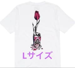 Wasted Youth Verdy x MEANING T-Shirt - メルカリ