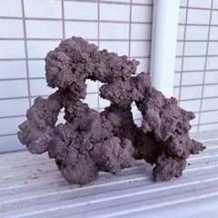 人工ライブロックのサムネイル