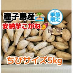 安納芋こがねちびサイズ5kg(種子島産)のサムネイル