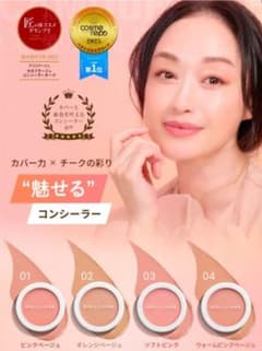 ブリリアージュ カモフラージュ コンシーラーチーク 04のサムネイル