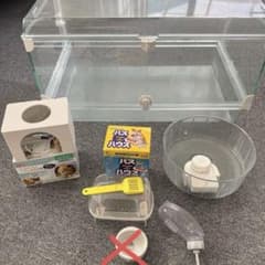 値下げ！GEX グラスハーモニー600プラス ハムスターケージ - メルカリ