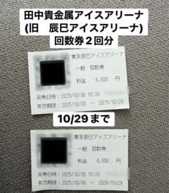 東京辰巳アイスアリーナ 一般回数券 2回分 有効期限2026/10/29のサムネイル