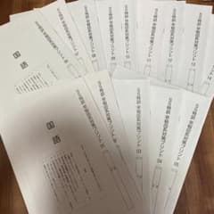 早稲田　プリント　専用 m82154032333_1.jpg?1710813968