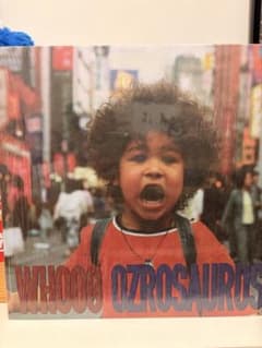OZROSAURUS WHOOO 045 STYLE 12inch レコード - メルカリ