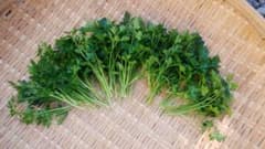 イタリアンパセリ(300g以上)のサムネイル