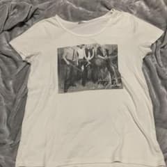 フォトプリント 半袖 Tシャツのサムネイル