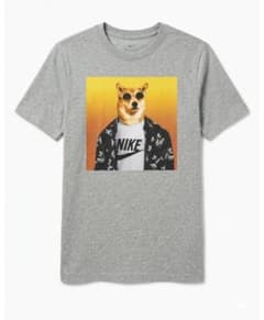 NIKE キッズ Lサイズのサムネイル