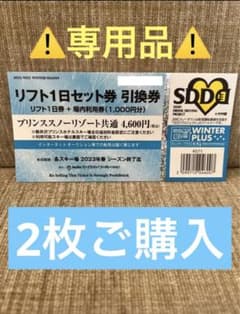 2枚【共通1日リフト券+場内利用券1000円分】のサムネイル