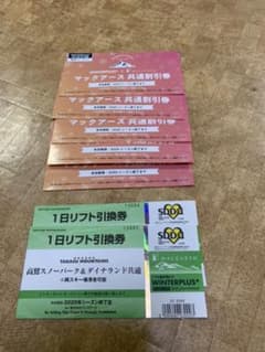 高鷲スノーパーク&ダイナランド共通リフト券のサムネイル