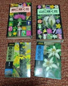 山渓ハンディ図鑑 野に咲く花 山に咲く花 高山の花 野山の樹木 4冊セットのサムネイル