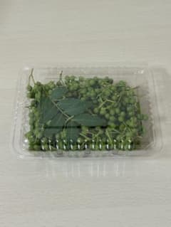 朝採り山椒　40g程度　 4パックのサムネイル