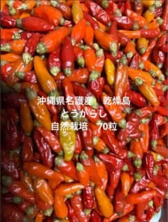 沖縄県山原産　自然栽培 乾燥島とうがらし　乾燥70粒のサムネイル