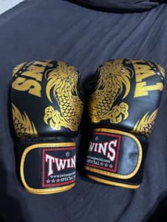 TWINS SPECIAL ボクシンググローブ 10oz ドラゴン柄 値下げ可 TWINS SPECIAL ボクシンググローブ 10oz ドラゴン柄 値下げ可 - メルカリ