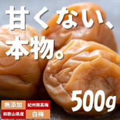 □農家直送！紀州南高梅 500g 梅 無添加 和歌山 紀州 白梅 0805 - メルカリ