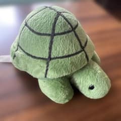 カメ ぬいぐるみのサムネイル