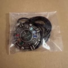 家庭教師ヒットマンREBORN ペンダントネックレス 大空 沢田綱吉