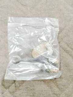 恐竜くじ E賞 ヴェロキラプトルのサムネイル
