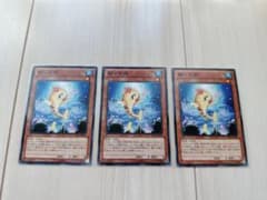 遊戯王　鰤っ子姫　ノーマル3枚のサムネイル