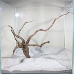 スマトラブランチウッド【SBC288】アクアリウム 流木 まとめ買い対応