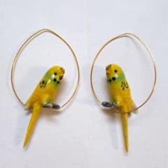加*川様 【新品未使用】nach ナッシュ フープピアス ピアス セキセイインコ 加*川様 【新品未使用】nach ナッシュ フープピアス ピアス セキセイ