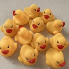 ラバーダック アヒル おもちゃ 12個セットのサムネイル