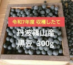 令和7年度 収穫 丹波篠山産 黒豆 300gのサムネイル