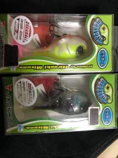 チャートバックギルのみのサムネイル