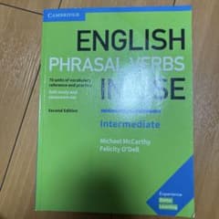 ENGLISH PHRASAL VERBS IN USEのサムネイル