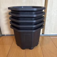 台湾八角鉢のサムネイル