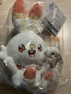포켓피스 포켓몬 이치 반 쿠지 C상 히바니 인형