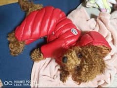 ゆひこ⭐︎様専用　ペット防寒着のサムネイル