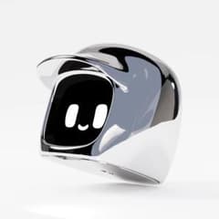 新品 ダサイ もち バージョン3 クロム DASAI MOCHI モチ - メルカリ