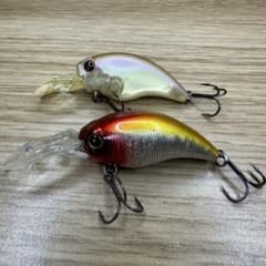 エバーグリーン　ワイルドハンチ　2つセットのサムネイル