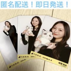 梅澤美波 コンプ エレガント 乃木坂46 生写真 - メルカリ