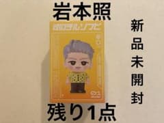 SnowMan 岩本照 すのチルソフビ 2025 on 2026 ツアー グッズ - メルカリ