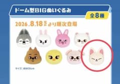 ドーム型BIGぬいぐるみ　スキズgigo限定のサムネイル