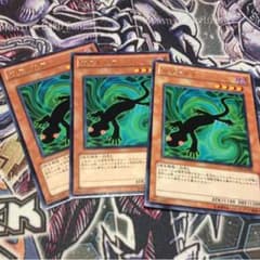 遊戯王 カゲトカゲのサムネイル
