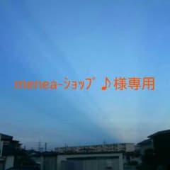 専用ページのサムネイル
