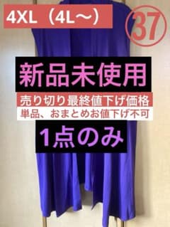 最終値下げ！お値下げ不可です！ 売り切り最終値下げ価格》（大きいサイズ）㊲紫色ロングジレ（4L