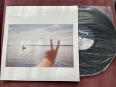 Wang 王舟 LPレコード Felicity 一回しか聴いてません。のサムネイル