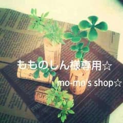 もものしん様専用☆コルクカードスタンドマグネット&グリーンリーフスタンドセットのサムネイル