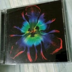 PIERROT　ピエロ　インディーズ再録アルバムCD　V系　ヴィジュアル系のサムネイル