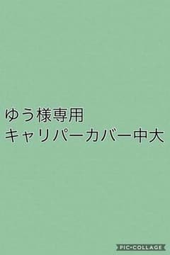 ゆう様専用 キャリパーカバー中大のサムネイル